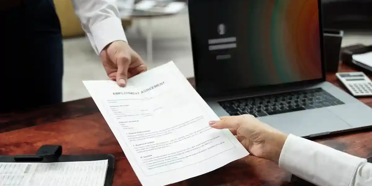 cv without experience